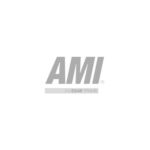 ami Logo grey