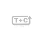 T+C Logo grey